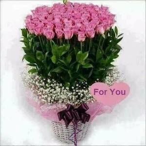 Meet your Posher, Yolanda